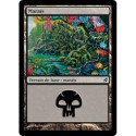 (Foil) Terrain - Marais (V2) (L) [LRW]