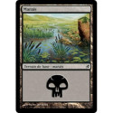 (Foil) Terrain - Marais (V3) (L) [LRW]