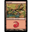 (Foil) Terrain - Montagne (V3) (L) [LRW]
