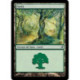 (Foil) Terrain - Forêt (V1) (L) [LRW]