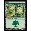 (Foil) Terrain - Forêt (V1) (L) [LRW]