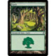 (Foil) Terrain - Forêt (V3) (L) [LRW]