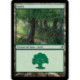 (Foil) Terrain - Forêt (V4) (L) [LRW]