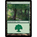 (Foil) Terrain - Forêt (V4) (L) [LRW]