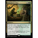 (Foil) Multicolore - Conseils de Dina (R) [SOS]