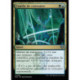 (Foil) Multicolore - Courbe de croissance (U) [SOS]
