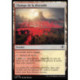 (Foil) Terrain - Champs de la discorde (C) [SOS]
