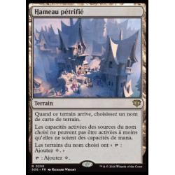 (Foil) Terrain - Hameau pétrifié (R) [SOS]