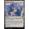 (Foil) Terrain - Hameau pétrifié (R) [SOS]