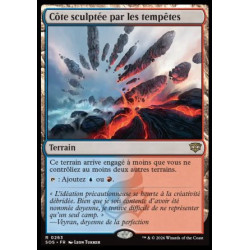 (Foil) Terrain - Côte sculptée par les tempêtes (V1) (R) [SOS]
