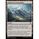 (Foil) Terrain - Immensité terramorphe (C) [SOS]