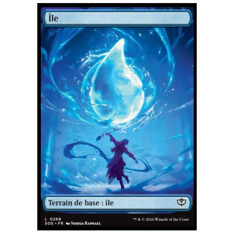 (Foil) Terrain - Île (V1) (L) [SOS]