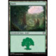 (Foil) Terrain - Forêt (V2) (L) [SOS]