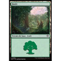 (Foil) Terrain - Forêt (V2) (L) [SOS]