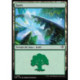 (Foil) Terrain - Forêt (V3) (L) [SOS]