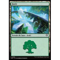 (Foil) Terrain - Forêt (V3) (L) [SOS]