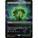 (Foil) Terrain - Clairière des oronges brunes (V2, Borderless) (R) [SOS]