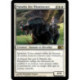 (Foil) Blanche - Paladin des Illumineurs (R) [M10]