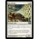 (Foil) Blanche - Mur de foi (C) [M10]