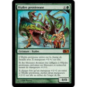 (Foil) Verte - Hydre protéenne (M) [M10]