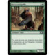(Foil) Verte - Ours runegriffe (C) [M10]