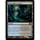 (Foil) Terrain - Catacombes noyées (R) [M10]