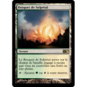(Foil) Terrain - Bosquet de Solpétal (R) [M10]