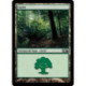 (Foil) Terrain - Forêt (V3) (L) [M10]