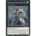 Chevalier Exciton Colonie du Mal (C) [L26D]