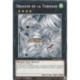 Dragon de la Tornade (C) [L26D]