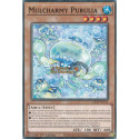 Mulcharmy Purulia (C) [L26D]