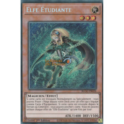 Elfe Étudiante (SE) [BLGG]