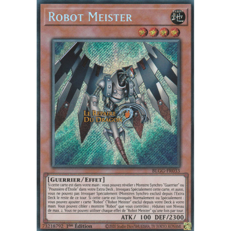 Robot Meister (SE) [BLGG]