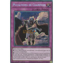 Pulsations de Champion (SE) [BLGG]