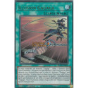 Illusion Gagaga (UR) [BLGG]