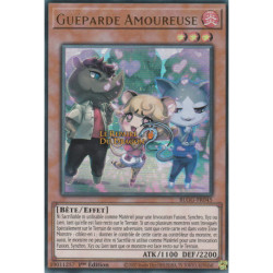 Guéparde Amoureuse (UR) [BLGG]