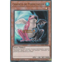 Crapaud de Permutation (UR) [BLGG]