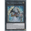 Tiras, Gardien de la Genèse (STAR) [BLGG]