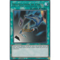 Destruction de Carte (UR) [BLGG]
