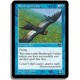 Bleue - Condor de linciel (U)