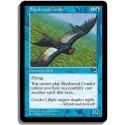Bleue - Condor de linciel (U)