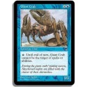 Bleue - Crabe geant (C)
