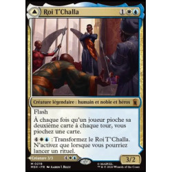 (Foil) Multicolore - Roi T'Challa // La Panthère Noire, espoir persistant (V1) (M) [MSH]