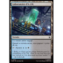 (Foil) Terrain - Laboratoire d'A.I.M. (C) [MSH]