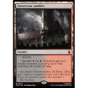 (Foil) Terrain - Forteresse sombre (V1) (R) [MSH]