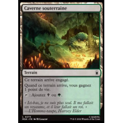 (Foil) Terrain - Caverne souterraine (C) [MSH]
