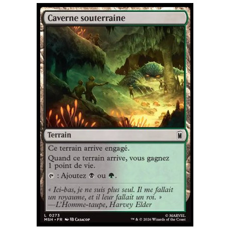 (Foil) Terrain - Caverne souterraine (C) [MSH]