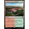 (Foil) Terrain - Complexe d'entraînement (V1) (R) [MSH]
