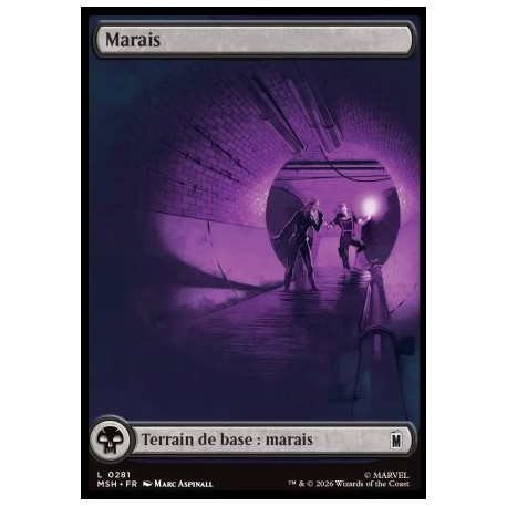 (Foil) Terrain - Marais (V1, Full Art - City Chaos) (L) [MSH]
