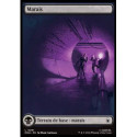 (Foil) Terrain - Marais (V1, Full Art - City Chaos) (L) [MSH]